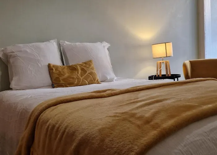 Apartamento Le Grand Jungle - Hyper Centre - Wifi- Lave Linge Mont de Marsan